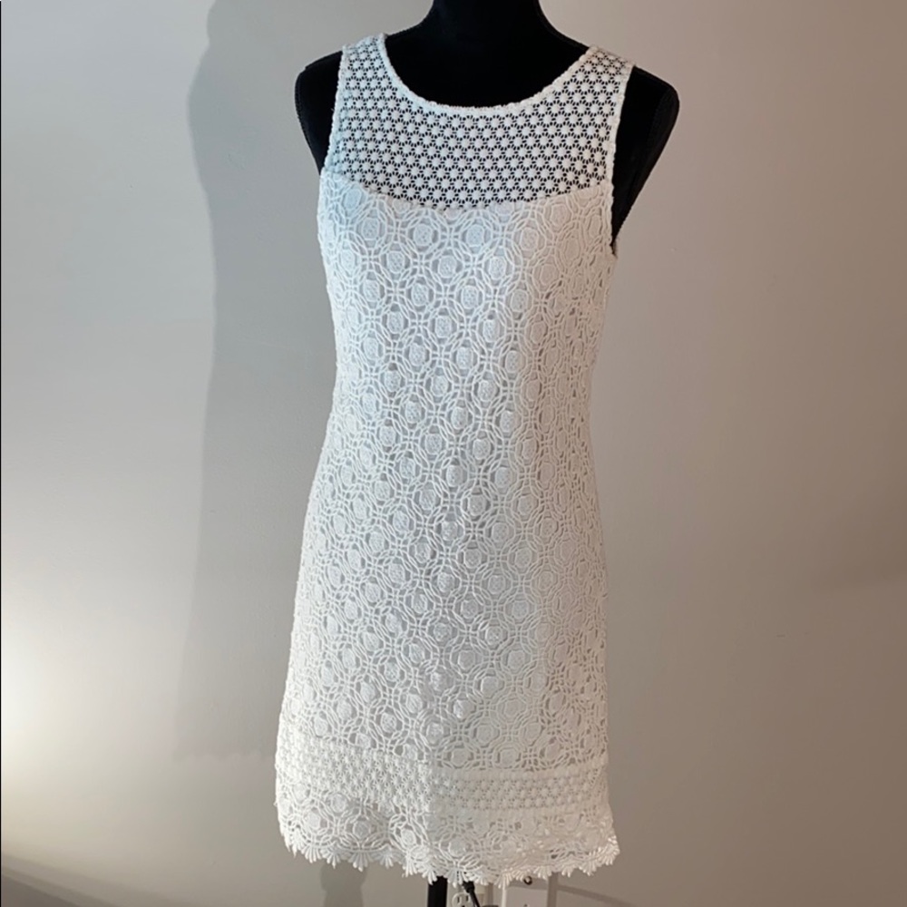 💥WHBM Lace Summer Dress